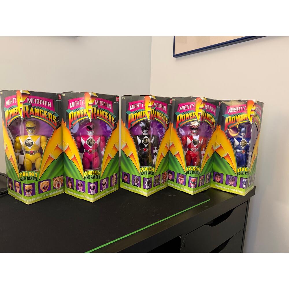 1993 Bandai Mighty Morphin Power Rangers 8" Action Figure Set (#2200)